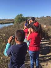 Field Trip to Upper Newport Bay
