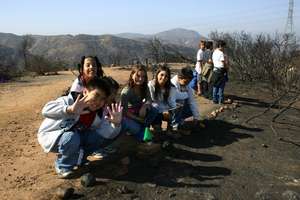 Fire Ecology
