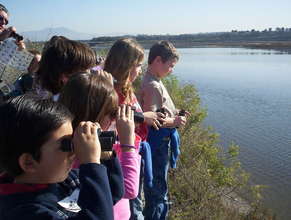 Bird Watching