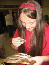 Feather Fun