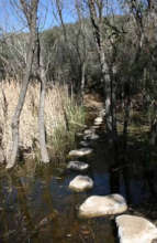 Trails of Rancho Sonado (before fire)