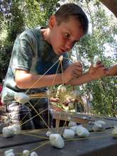 STEM activity