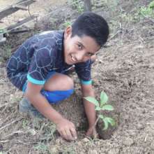 Denis planting a tree