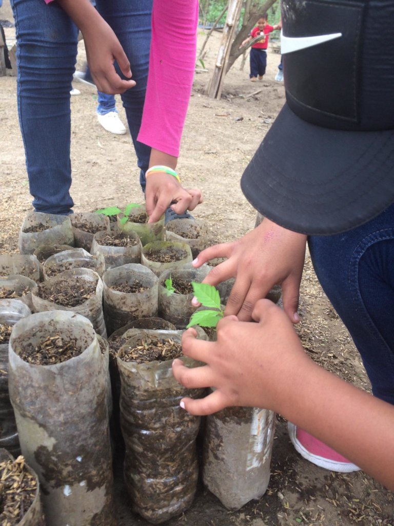 Bring Environmental Education Program to Ecuador