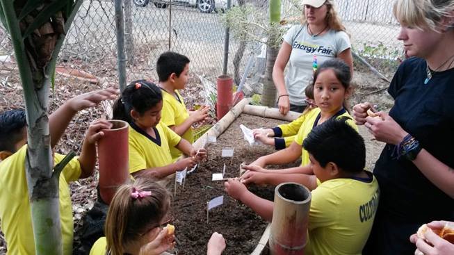 Bring Environmental Education Program to Ecuador