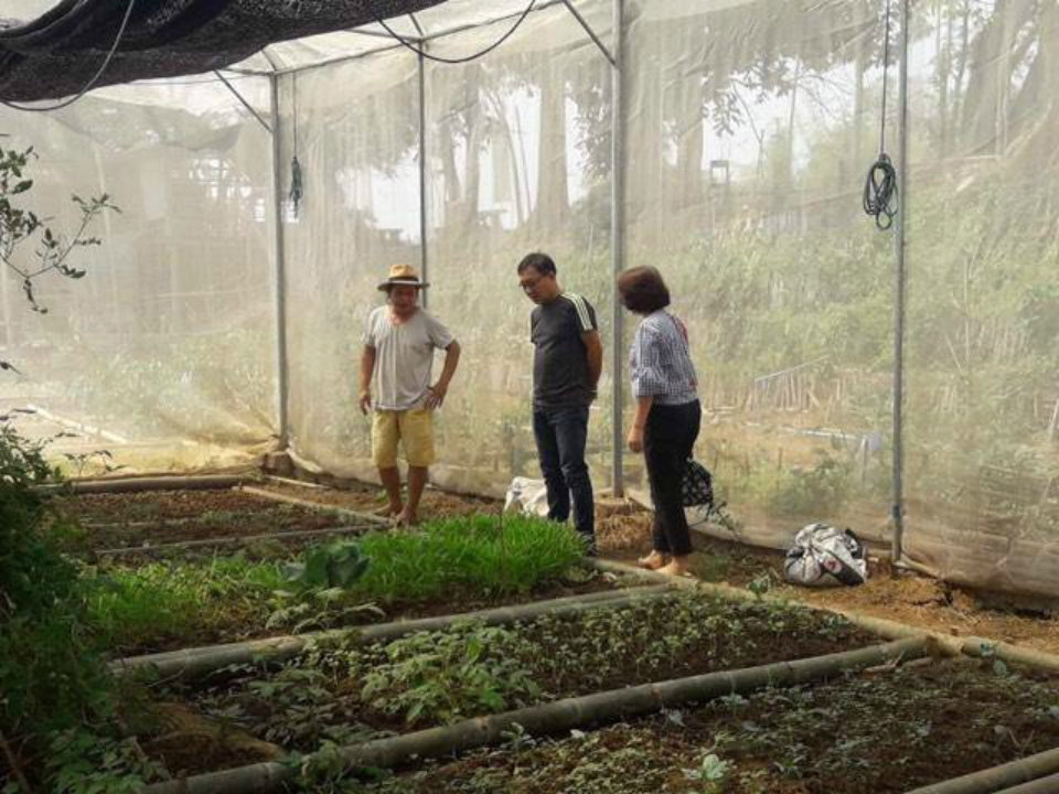 Change to organic farm for air pollution in Thai