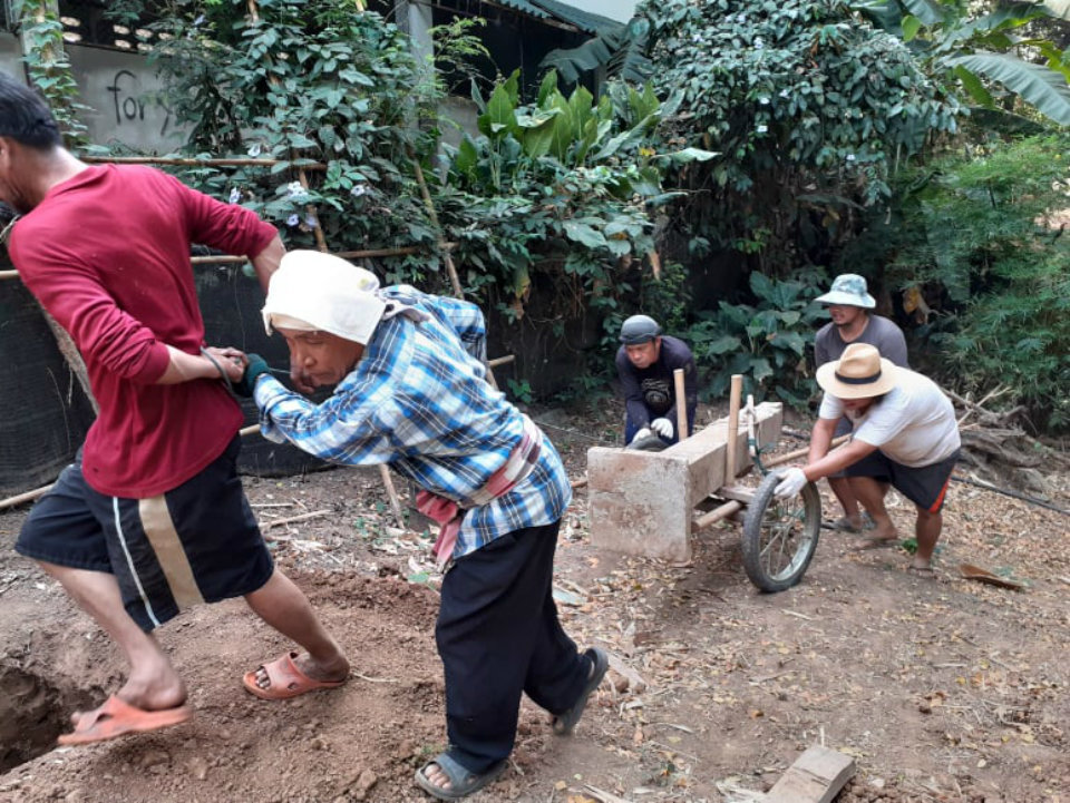 Change to organic farm for air pollution in Thai