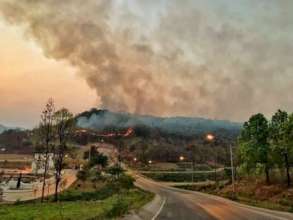 Change to organic farm for air pollution in Thai