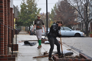 NeighborWoods Month 2009