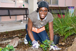 Thousands of volunteers plant trees each year!