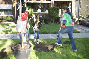 Greening Detroit