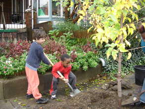 Plant trees in low-income U.S. neighborhoods