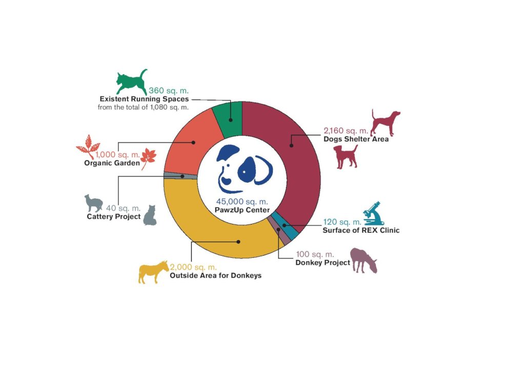 Introducing the PawzUp Homeless Animal Center