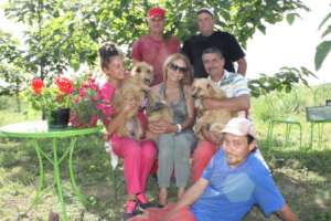 Introducing the PawzUp Homeless Animal Center