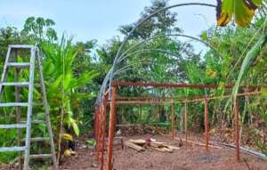 Construction of the plant nursery