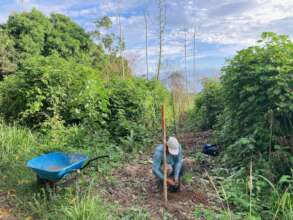 Parents cleared rows of land to plant 356 trees.