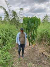 Reforestation together with Alianza Arkana.