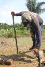Preparing Reforestation of Deforested Landscapes.