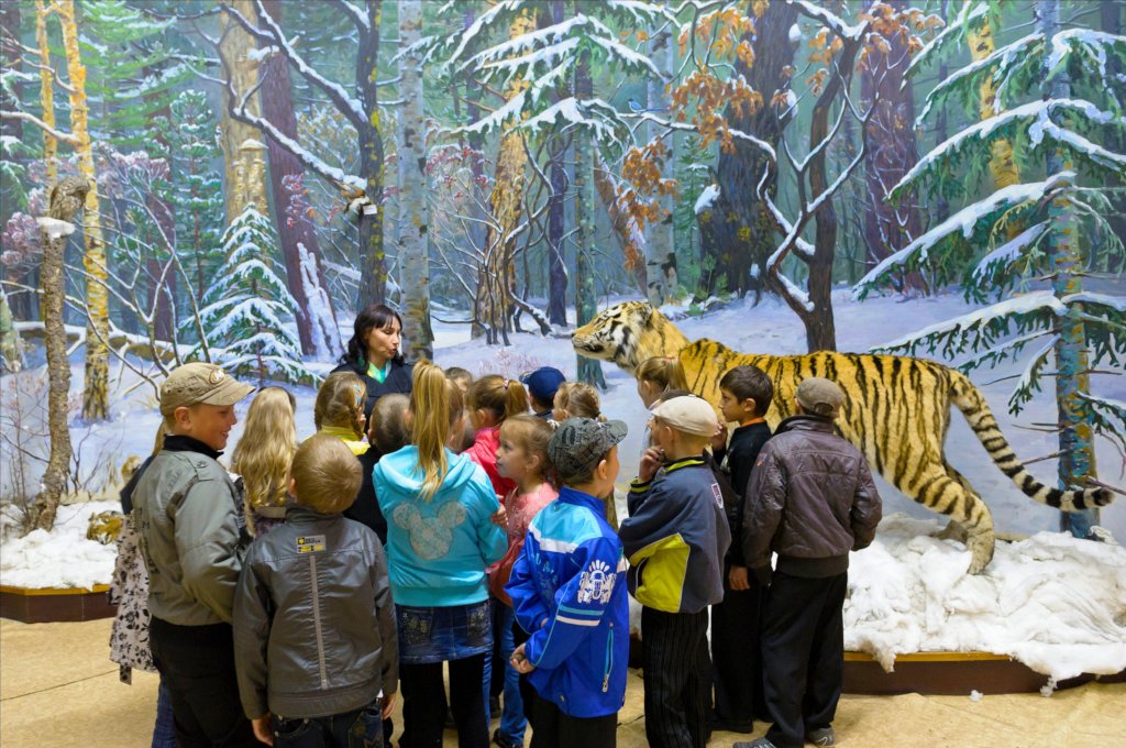 Help ensure friendly habitat for rare Amur tigers