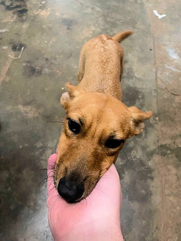 Freed to a loving home