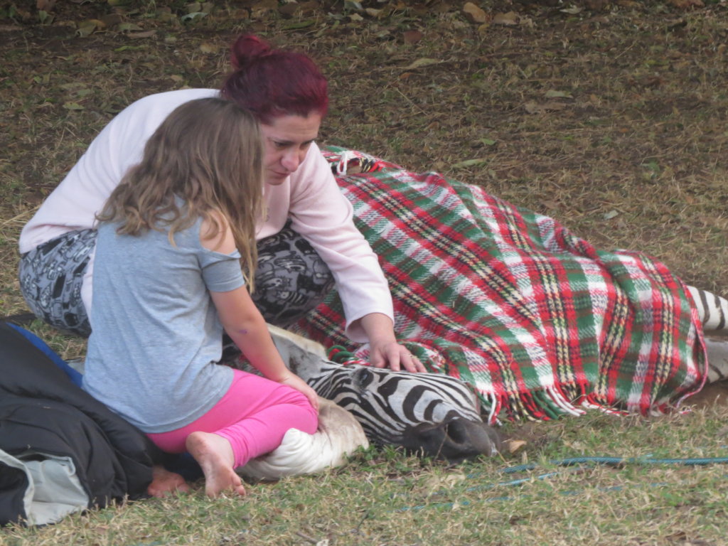 Help Wildlife With Emergency Medical Treatment