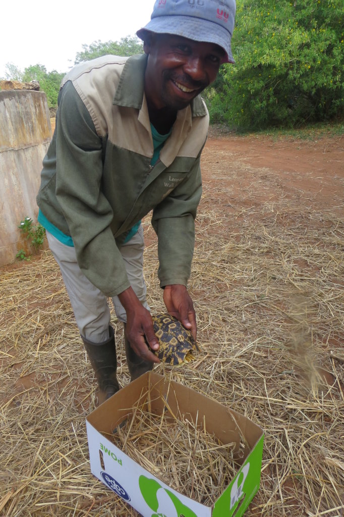 Help Wildlife With Emergency Medical Treatment