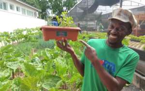 Washington in the CL Garden