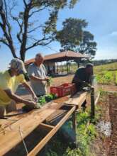 Farm produce; proof of the good we have to offer