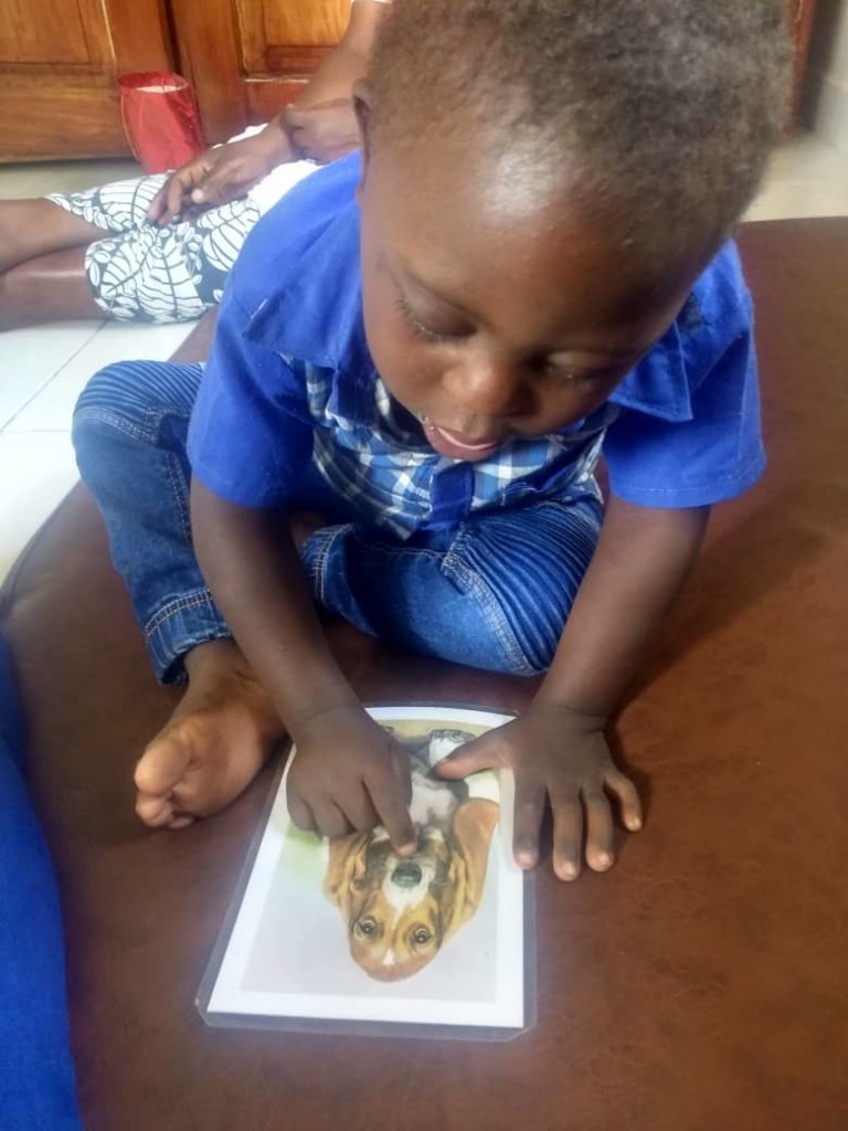 Provide 500 therapy sessions to disabled children