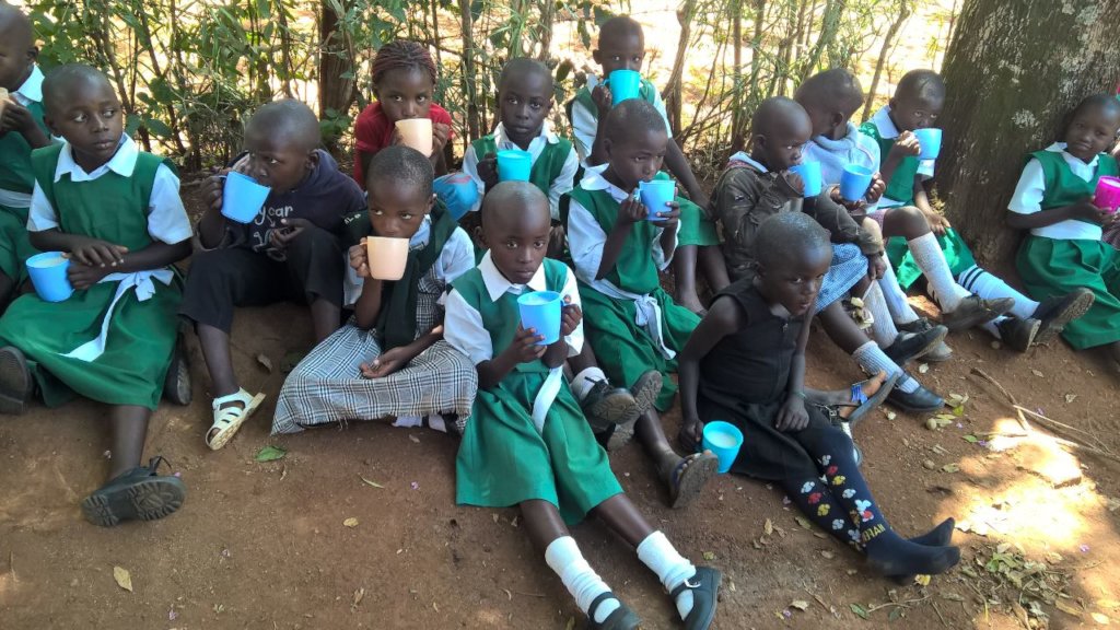 Provide school meals to one  rural girl's school