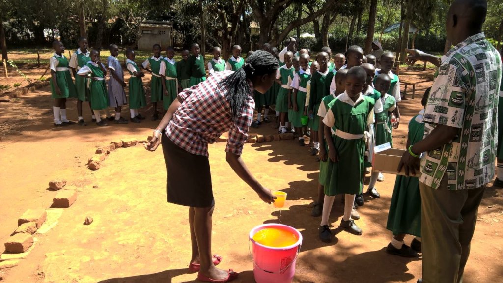 Provide school meals to one  rural girl's school