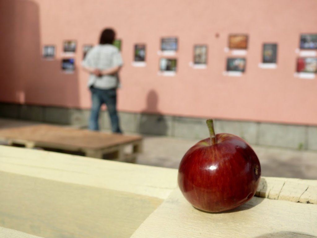 Help People in Bulgaria Overcome Addiction