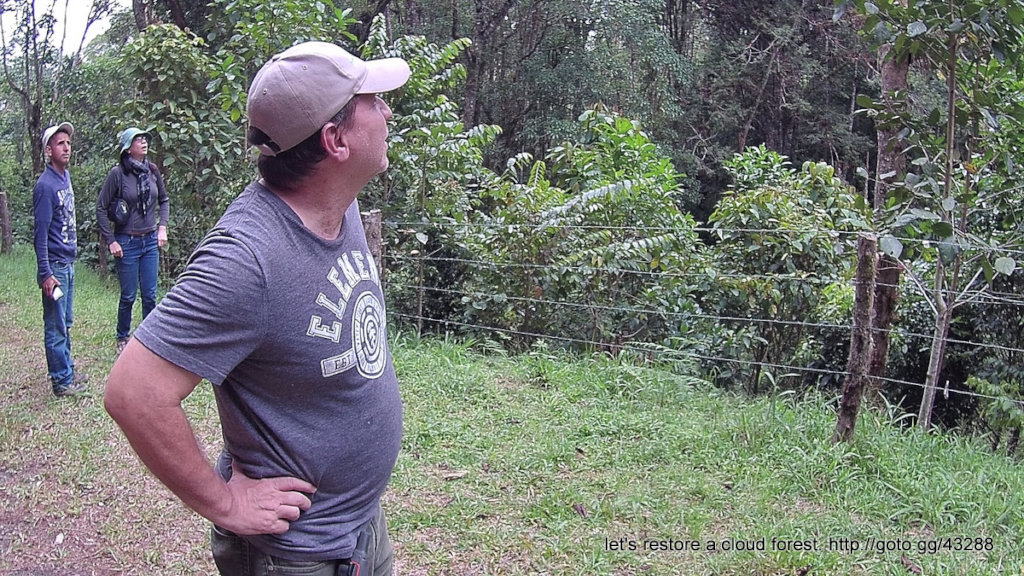 Let's restore a unique cloud forest in Venezuela