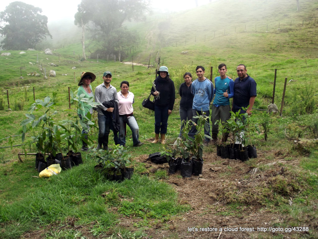 Let's restore a unique cloud forest in Venezuela