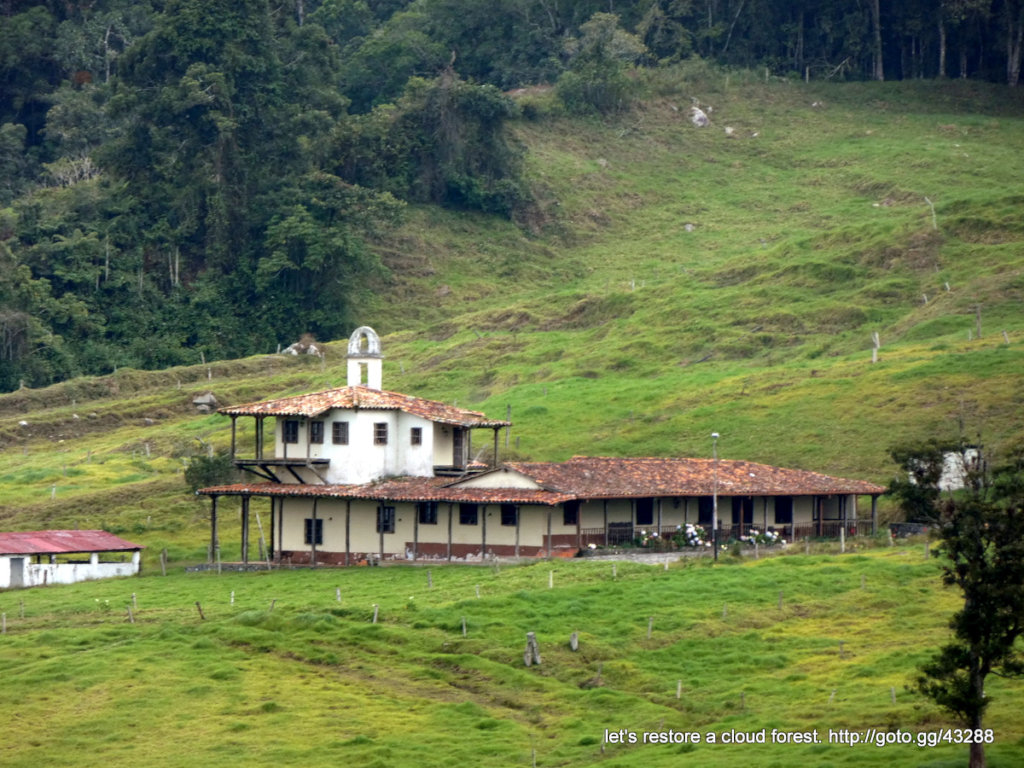 Let's restore a unique cloud forest in Venezuela