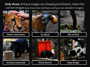 Enrichment interactive E-learning slide