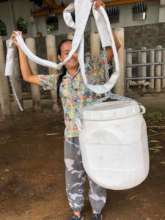 Putting up enrichment feeders