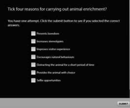 Enrichment interactive E-learning activity