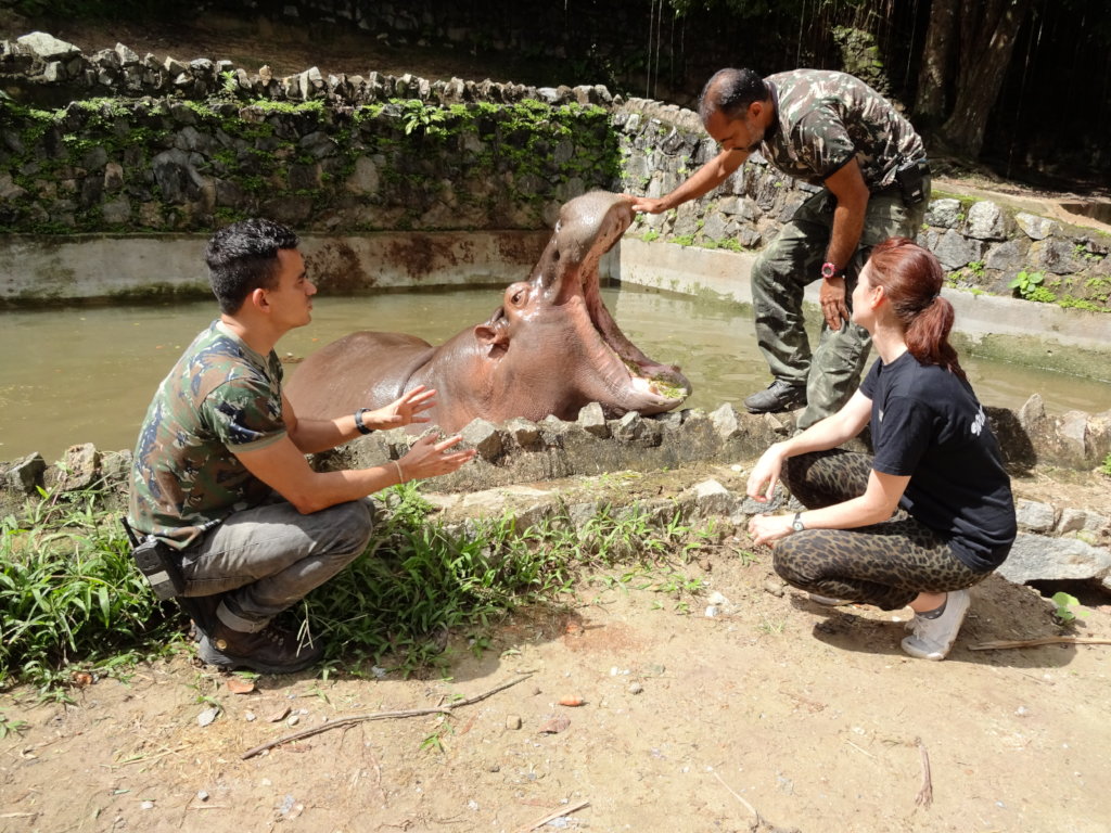 Help an Animal Live a Life Worth Living