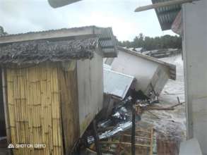 Finding new homes becomes the priority