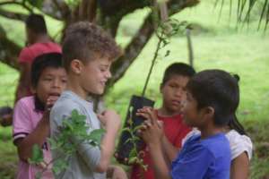 Planting at schools along the Amazon River in Peru