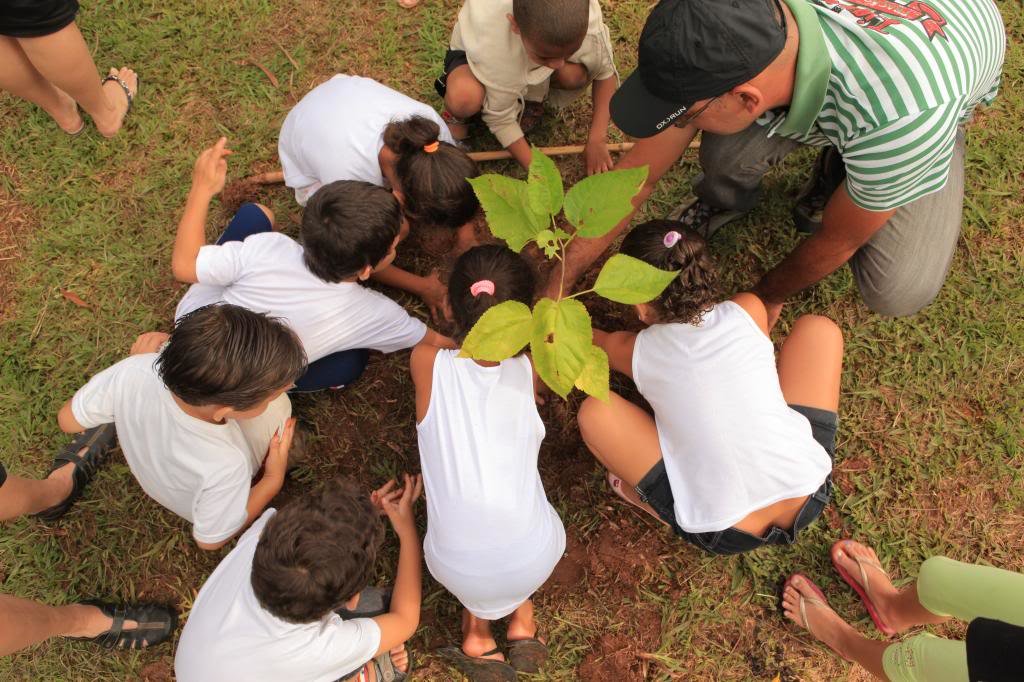 Let's teach kids about fruit trees!