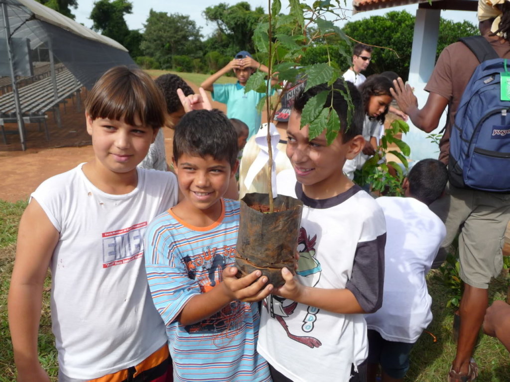 Let's teach kids about fruit trees!