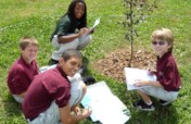 Let's teach kids about fruit trees!