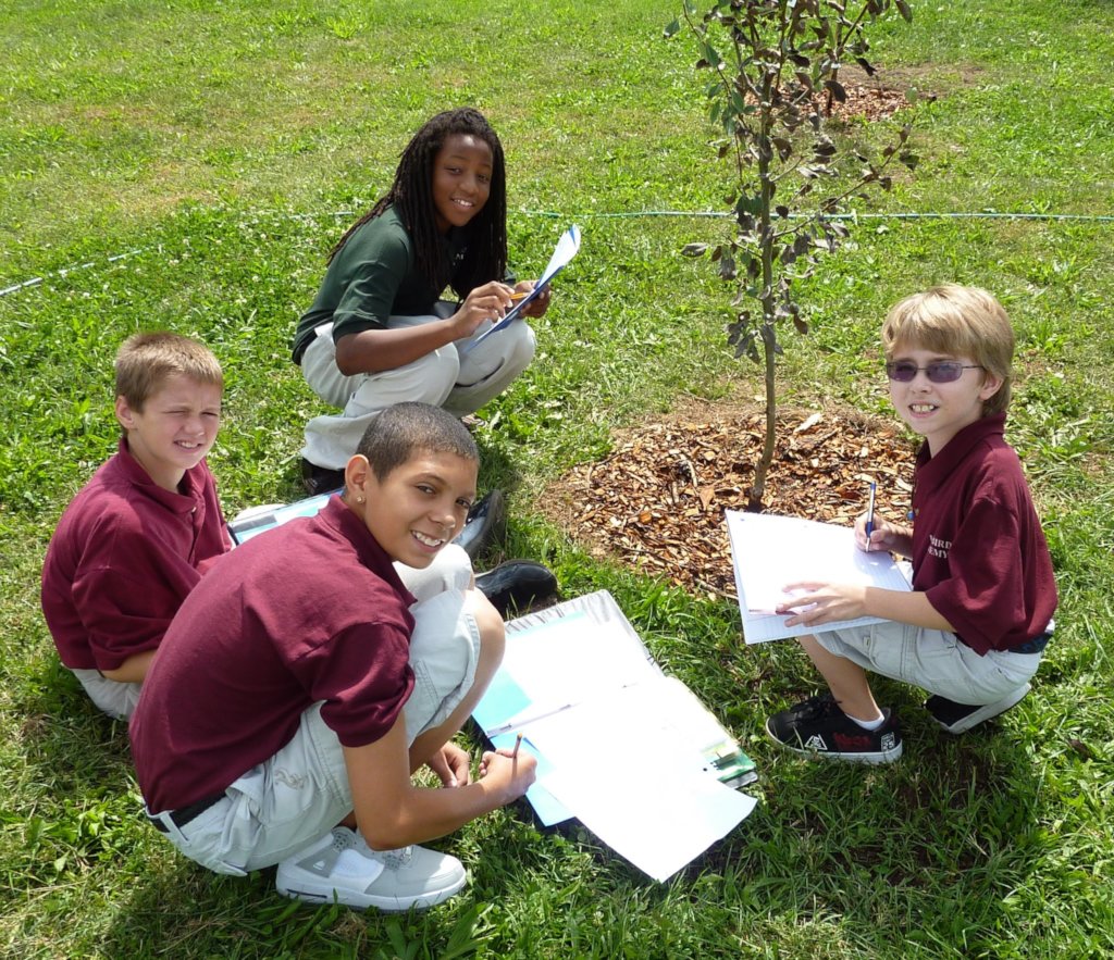 Let's teach kids about fruit trees!