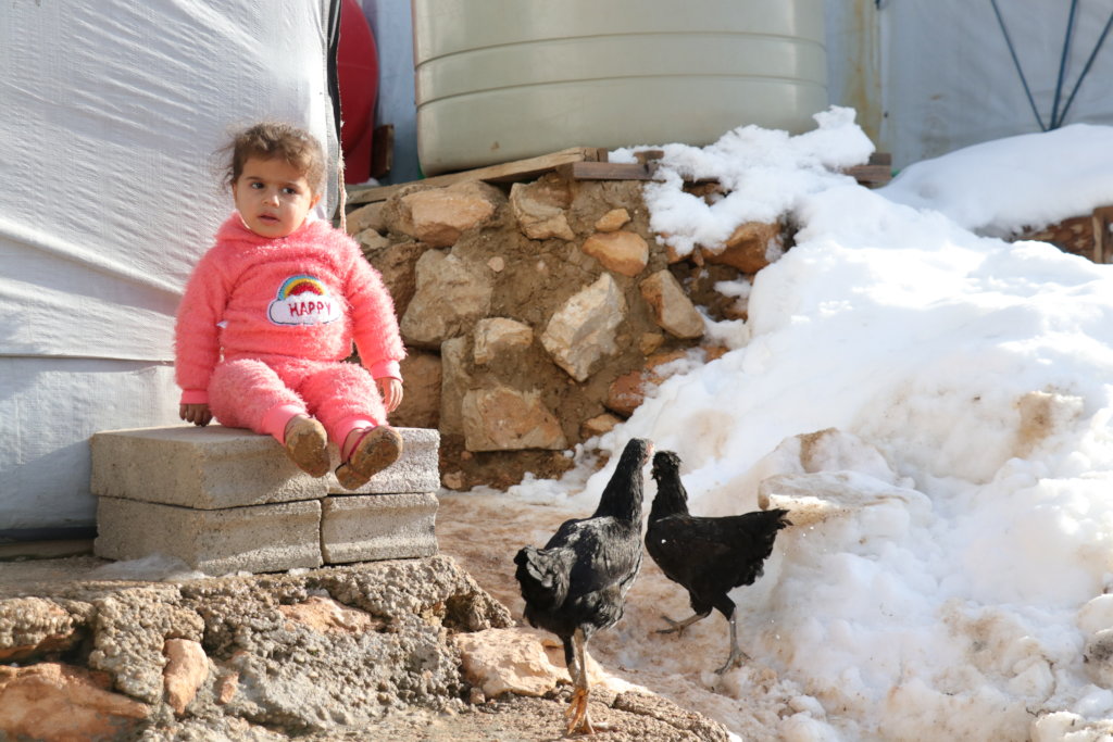 Warm Their Hearts: Winterization Project