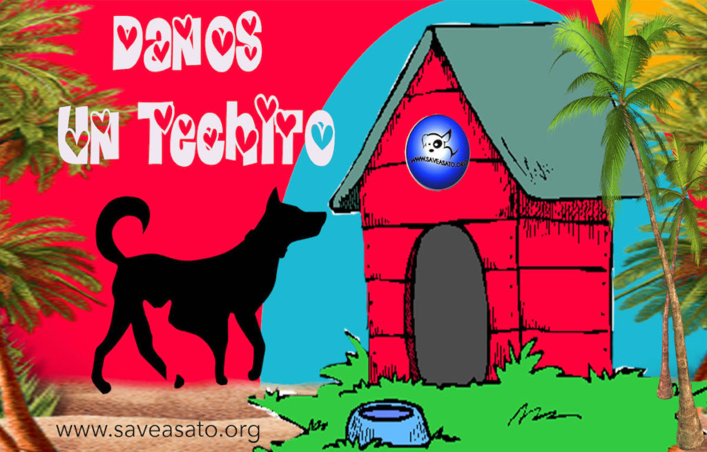 Danos Un Techito - Give us A Little Roof