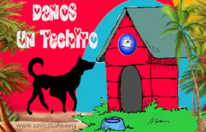 Danos Un Techito - Give us A Little Roof