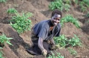 Offer Mental Health Care  to 4,000 Homes in Uganda