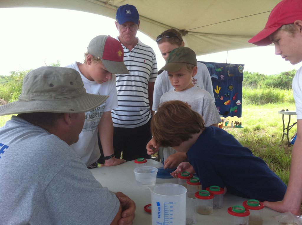 St. Croix BioBlitz 2020